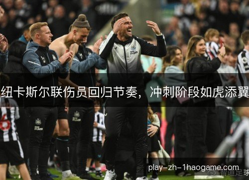 纽卡斯尔联伤员回归节奏，冲刺阶段如虎添翼